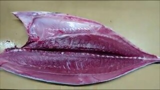 Sashimi ẩm thực Nhật phần7