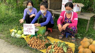 Thanh Nhãn Cuối Mùa Bán Giá Rẻ Cho Bà Con | Ngon Nhất Trong Các Loại Nhãn | NĐMT#144