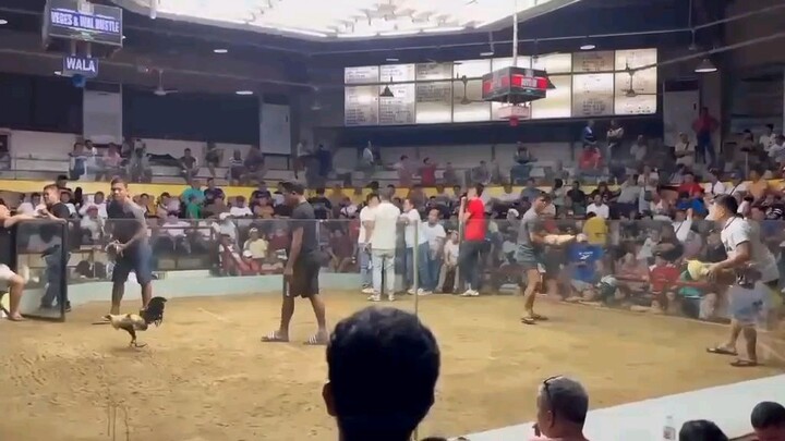 kanawayon rrzn line in Doyti gf  sinulog Derby