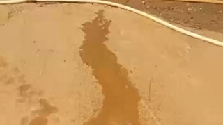 冲啊，一往无前的浪