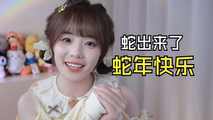 Xiao Liu: Rat Boss - Ox Xiao’er - Tiger Xiaosan - Snake Xiao Liu this year