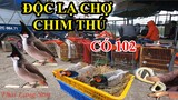 Chợ Chim Cảnh Thú Hoang Có 102 CHỢ CHIM LẠNG SƠN Lớn Nhất Miền Bắc Chim Đẹp Thú Lạ I Thai Lạng Sơn