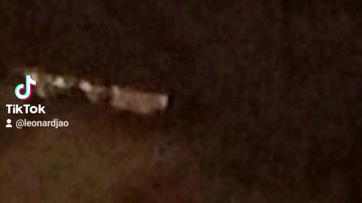 sikat ngayon 😁😁😁