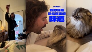 当人在猫面前特别狗‼️