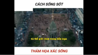 Làm gì khi gặp xác sống #sinhton
