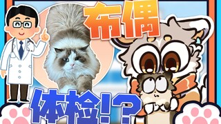 【沉浸式体验】兽医：“我看的是兽，不是人！”