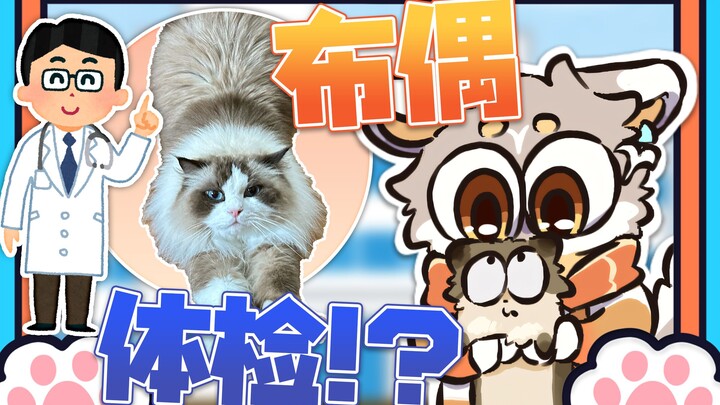 【沉浸式体验】兽医：“我看的是兽，不是人！”