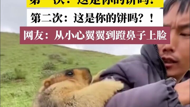 ครั้งที่ 1: นี่คือขนมปังของคุณเหรอ? ครั้งที่ 2: นี่คือขนมปังของคุณเหรอ?! ชาวเน็ต: จากความเกรงใจกลายเ