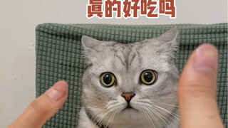 如何让猫咪相信你喜欢吃它的……