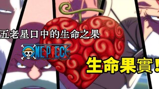 One Piece Special #1200: The legendary fruit mentioned by the Five Elders - the Surgery Fruit, forme