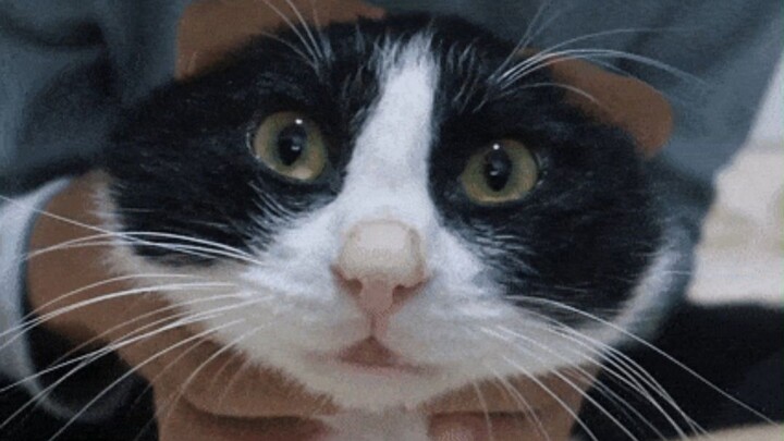 Sao mà nặn không ra vậy?