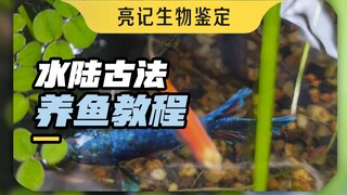 Traditional amphibious fish farming ponds and aquariums, a nanny-level tutorial