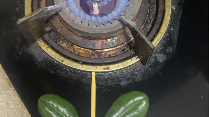 On 520, give your girlfriend a “coal flower” for a one-of-a-kind surprise!