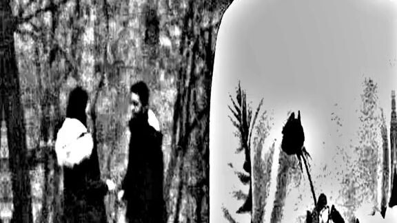 ไม่รักก็บอกอย่ามาหลอกให้เจ็บ