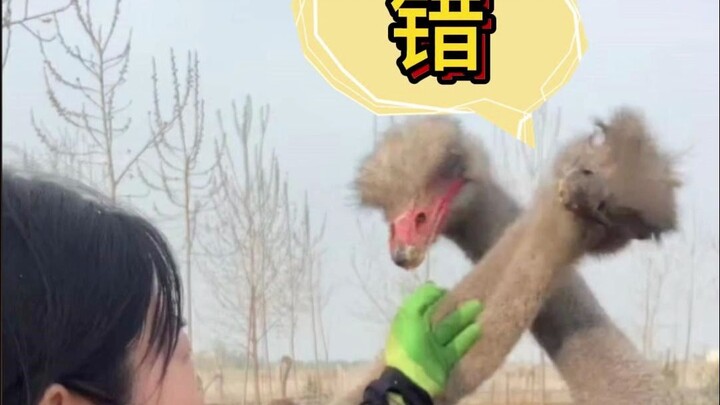 Nhan sắc rồi cũng phai tàn, thực lực mới là chân lý.