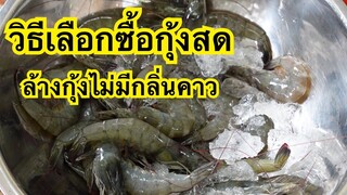 วิธีเลือกซื้อกุ้งสด ล้างกุ้งไม่ให้มีกลิ่นคาว |บ้านน้ำยำ สร้างอาชีพ