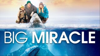 Big Miracle (2012)