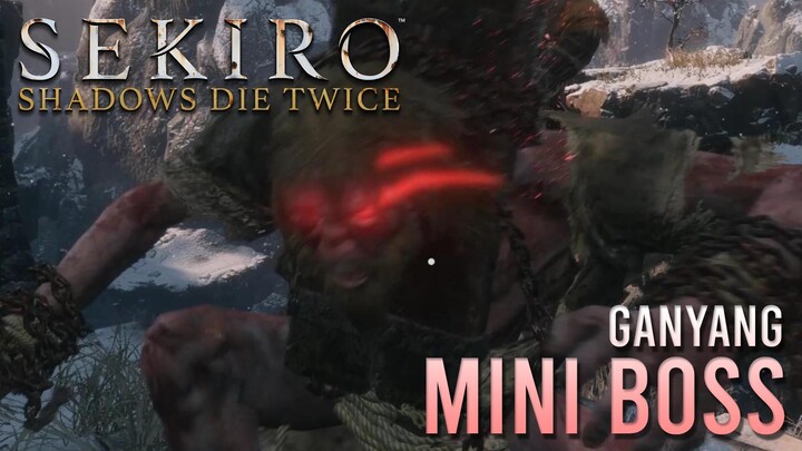 Ganyang Mini-Boss 🔥 Sekiro: Shadows Die Twice
