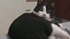 LAUGH # funnymoments # comedy # hilarious # Pranks # EpicFail # HumorSkits # LaughOutLoud # Viral