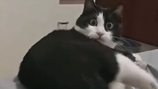 LAUGH  # funnymoments # comedy # hilarious # Pranks # EpicFail # HumorSkits # LaughOutLoud # Viral