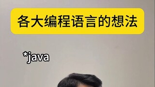 各大编程语言的想法