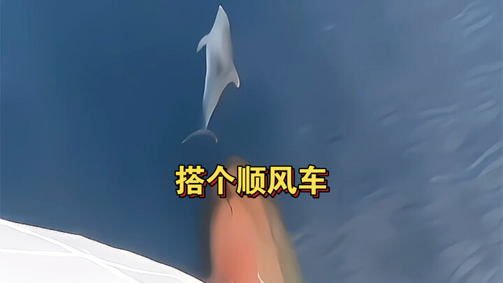 لا أقصد شيئًا آخر، فقط أركب معك في طريقك.