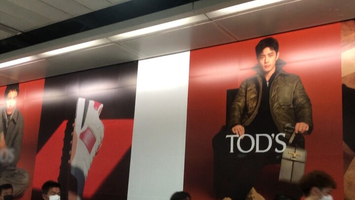 Xiao Zhan | Người phát ngôn cho thương hiệu quảng cáo tại cửa hàng sang trọng Tod's ở Central Statio