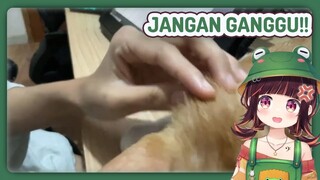 Majikan yang Ganggu Babu Lagi Gambar [Keroro Suika/Yume Reality]