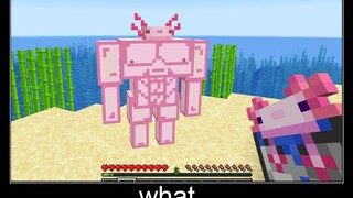 Minecraft รออะไร meme part 11 Axolotl กลายพันธุ์