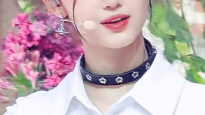 【มุมมองส่วนตัว】“สมาชิกที่สวยที่สุดของวงอู่ฉาง”