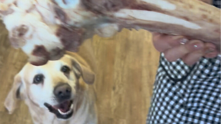 Ciee~ Aku nggak tertarik sama sekali~