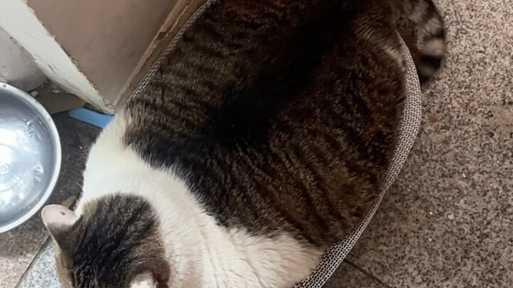 ยิ่งห้ามเขาไม่ให้นอนแบบนี้ เขาก็ยิ่งนอนแบบนี้