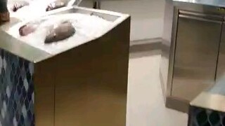 suasana pasar di qatar