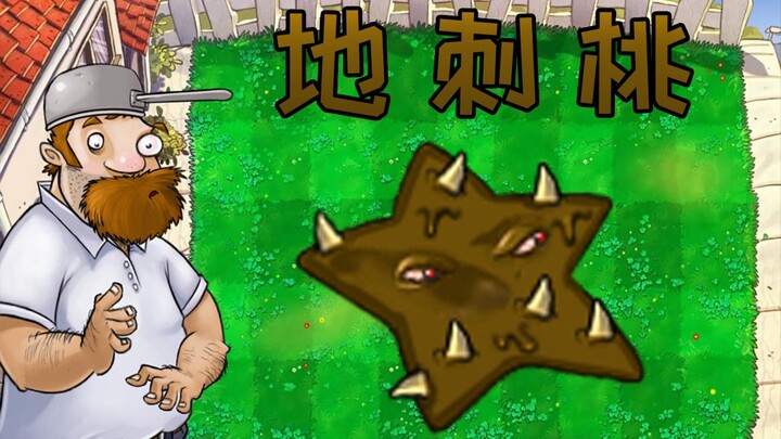 New Plant: Peach