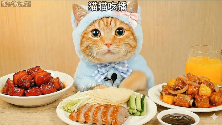 ม้าวม้ากินไลฟ์