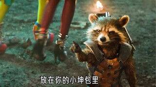 原来火箭浣熊也是小黑子