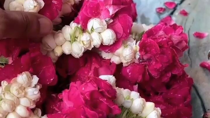 beautiful Gajre 🥀🫀🎀#viralreels #trending