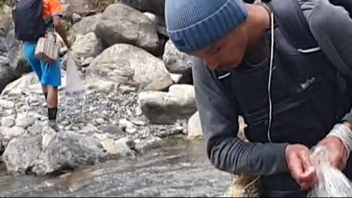 Cast Net Fishing in Nepal | Himalayan Trout Fishing with Hand made Cast Net |