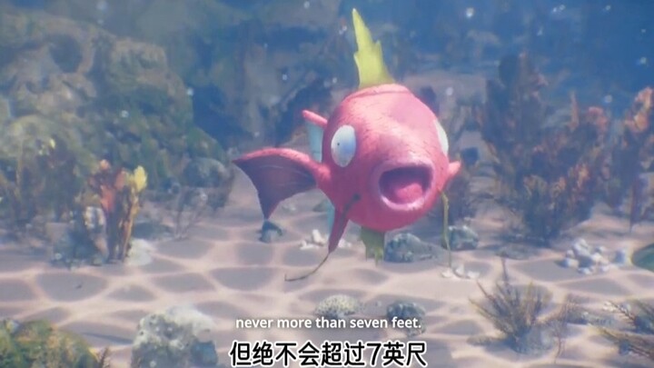 A National Geographic Channel-style video introducing the Pokémon ecosystem, with Magikarp being cau