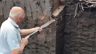 Mud that can burn: peat