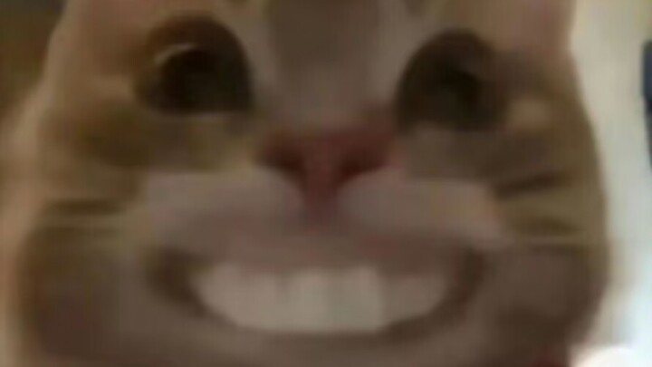 Latihan Menyelinap ke Menara oleh Kucing Tua⭐Bintang⭐Petir