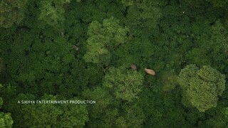 Người chăm voi Full Movie [Sub Việt]