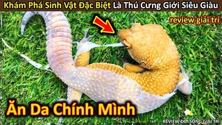 Hảo Hán Review Khám phá Loài Vật Siêu Độc Lạ Mà Các Dân Chơi Sở Hữu || Review Giải Trí Đời Sống