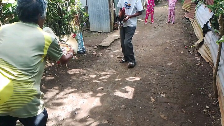 paugnat sa kasu kasuan. all 1x winner