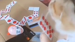 Keciduk Satpol-PP 🙀