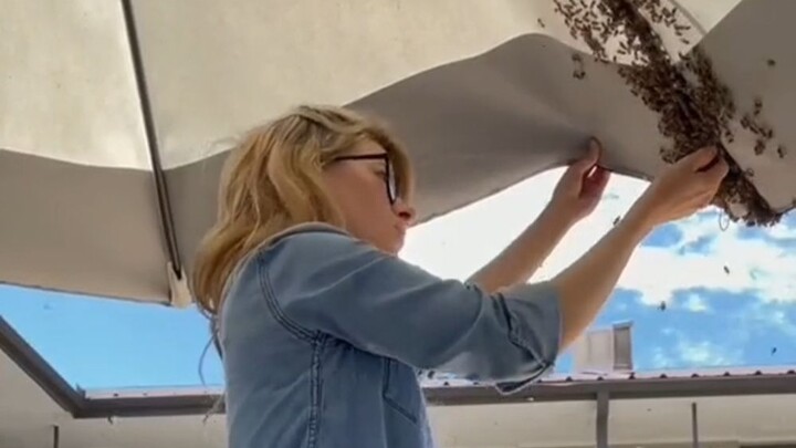 Begini Cara Siswi Asing Menyelamatkan Sekawanan Lebah di Bawah Payung...