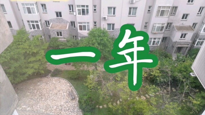 当你每周向楼下拍一张照……