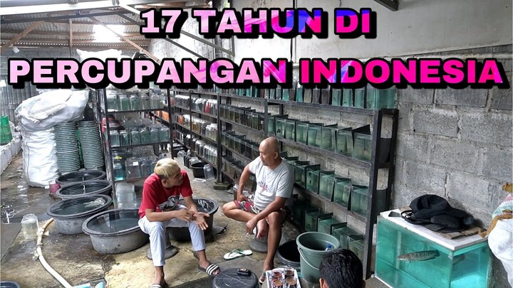 17 TAHUN DI DUNIA CUPANG ?????
