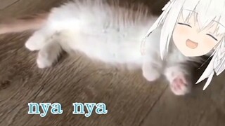 Tự truyện của một con mèo