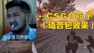 【求生之路2】26个玩家用CSGO茄子语音包（下载在视频简介）